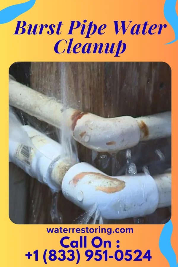 Burst Pipe Water Cleanup in Ampere North, NJ