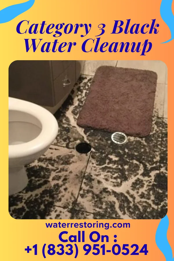 Category 3 Black Water Cleanup in Ampere North, NJ