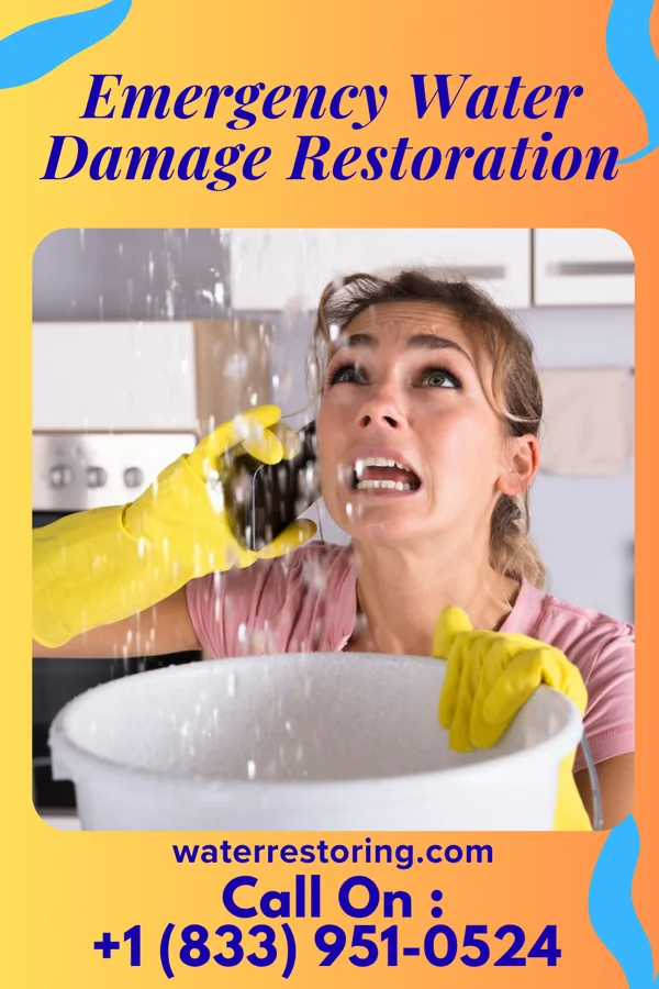Emergency Water Damage Restoration in Ampere North, NJ