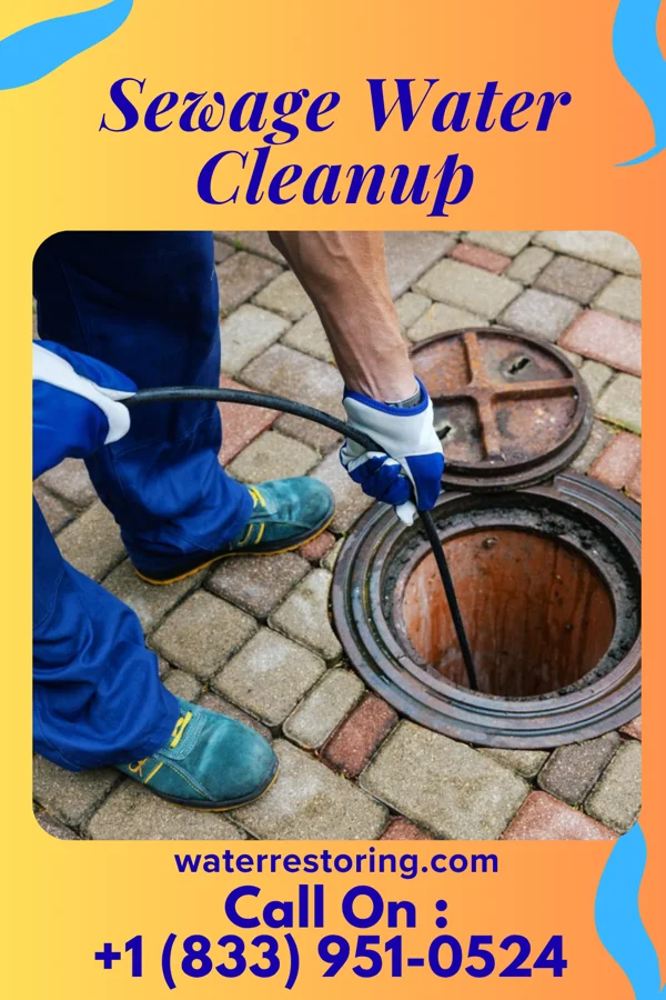 Sewage Water Cleanup in Ampere North, NJ