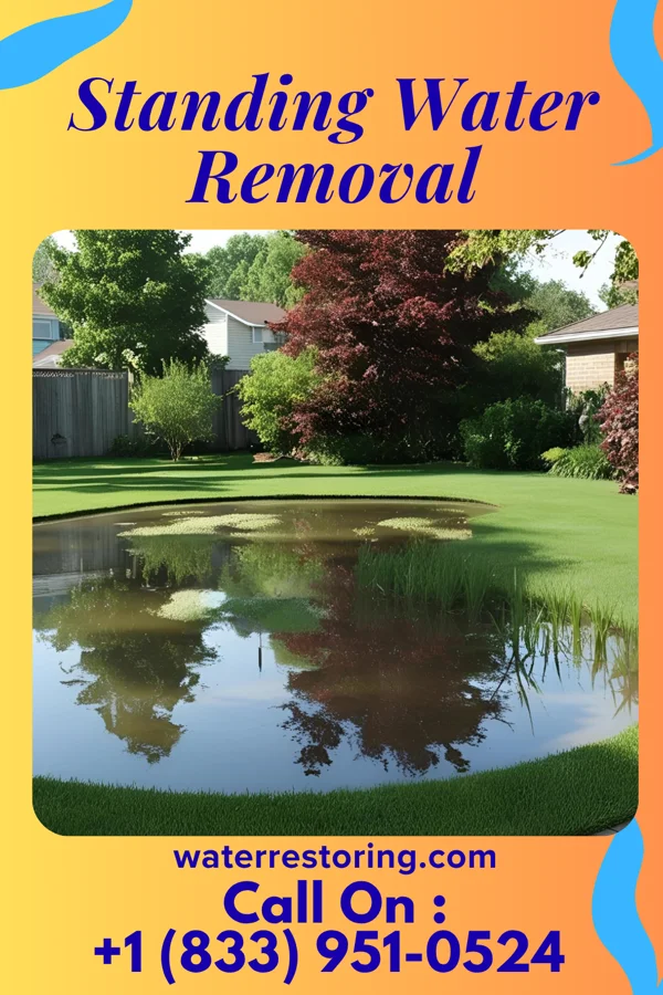 Standing Water Removal in Ampere North, NJ